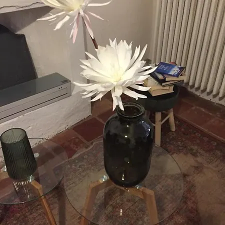 Ca Del Bunimur בית הארחה Magliano Alpi