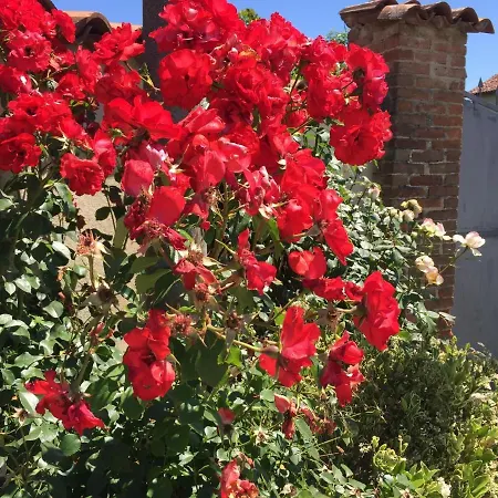 Ca Del Bunimur בית הארחה *