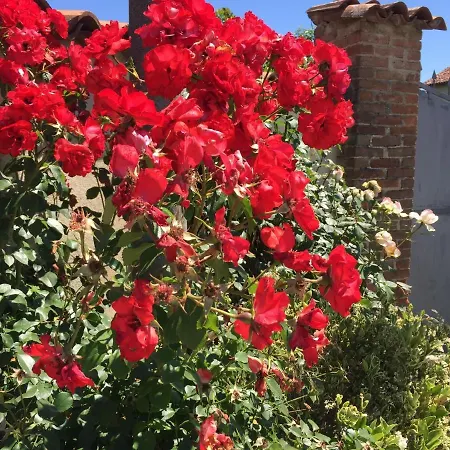 Ca Del Bunimur Guest house *