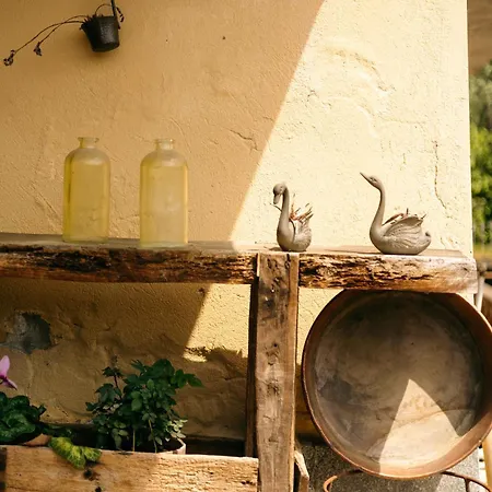 Guest house Ca Del Bunimur *
